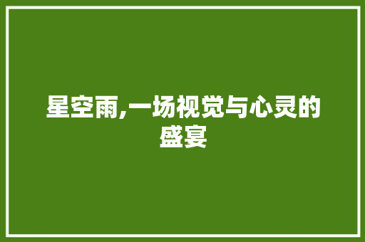 星空雨,一场视觉与心灵的盛宴