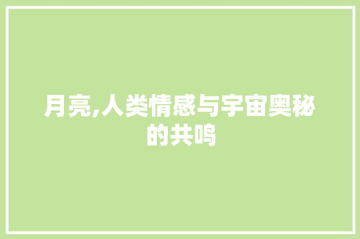 月亮,人类情感与宇宙奥秘的共鸣