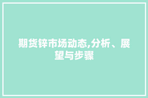 期货锌市场动态,分析、展望与步骤