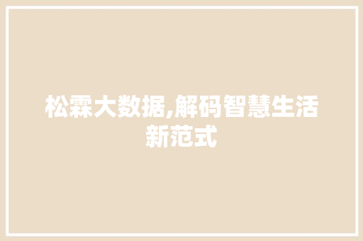 松霖大数据,解码智慧生活新范式