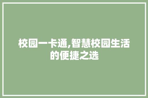校园一卡通,智慧校园生活的便捷之选
