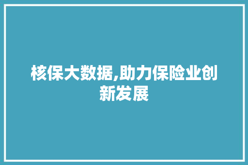 核保大数据,助力保险业创新发展