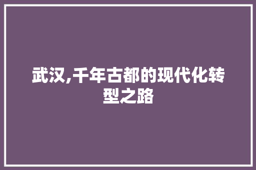 武汉,千年古都的现代化转型之路