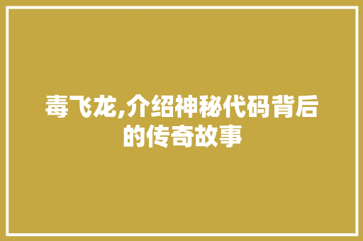 毒飞龙,介绍神秘代码背后的传奇故事