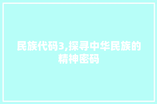 民族代码3,探寻中华民族的精神密码
