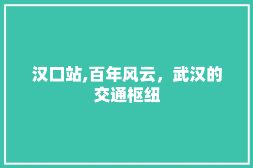 汉口站,百年风云，武汉的交通枢纽
