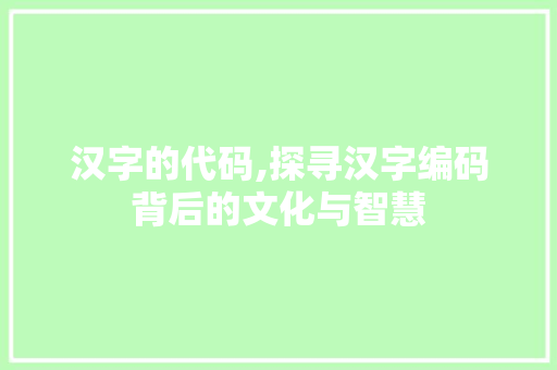 汉字的代码,探寻汉字编码背后的文化与智慧