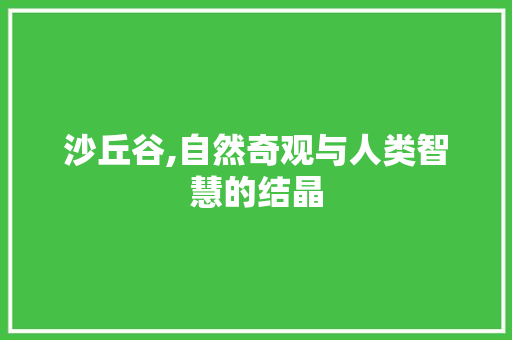 沙丘谷,自然奇观与人类智慧的结晶 土壤施肥