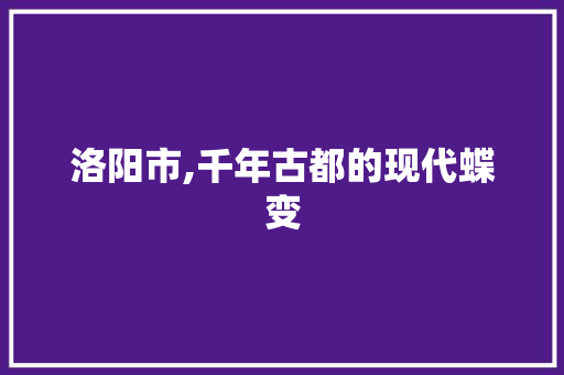 洛阳市,千年古都的现代蝶变