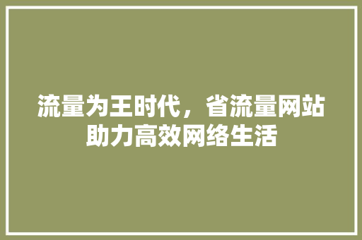 流量为王时代，省流量网站助力高效网络生活