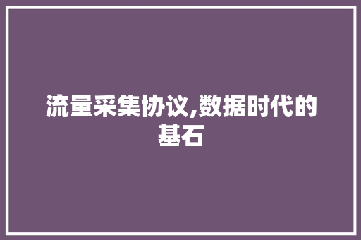 流量采集协议,数据时代的基石