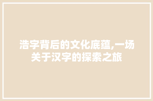 浩字背后的文化底蕴,一场关于汉字的探索之旅