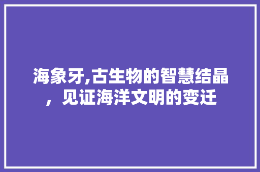 海象牙,古生物的智慧结晶，见证海洋文明的变迁 农业常识