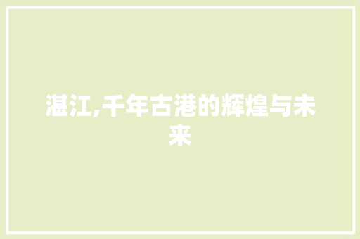 湛江,千年古港的辉煌与未来