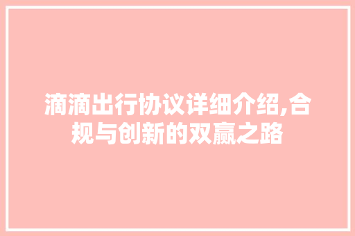 滴滴出行协议详细介绍,合规与创新的双赢之路