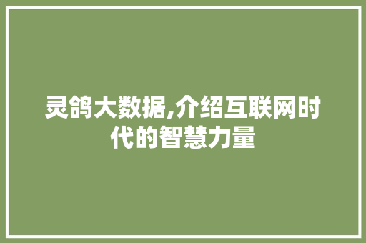 灵鸽大数据,介绍互联网时代的智慧力量