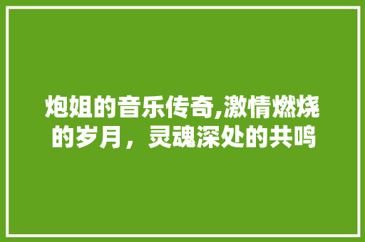 炮姐的音乐传奇,激情燃烧的岁月，灵魂深处的共鸣