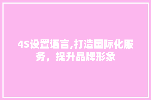 4S设置语言,打造国际化服务，提升品牌形象