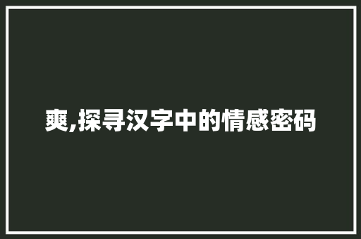 爽,探寻汉字中的情感密码