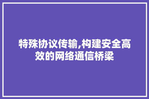 特殊协议传输,构建安全高效的网络通信桥梁