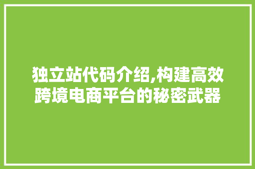 独立站代码介绍,构建高效跨境电商平台的秘密武器