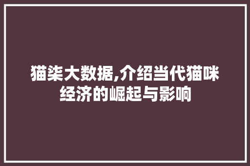猫柒大数据,介绍当代猫咪经济的崛起与影响