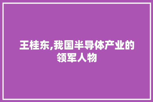 王桂东,我国半导体产业的领军人物 农业常识