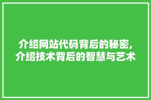 介绍网站代码背后的秘密,介绍技术背后的智慧与艺术