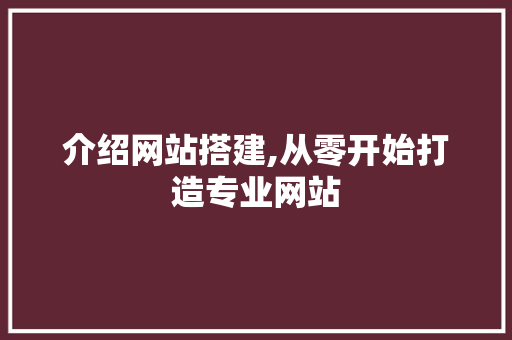 介绍网站搭建,从零开始打造专业网站