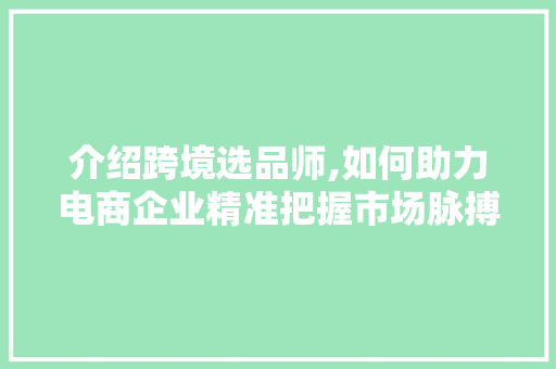 介绍跨境选品师,如何助力电商企业精准把握市场脉搏