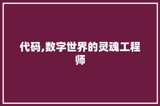 代码,数字世界的灵魂工程师