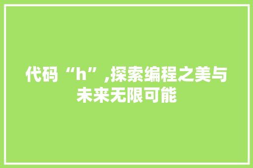 代码“h”,探索编程之美与未来无限可能
