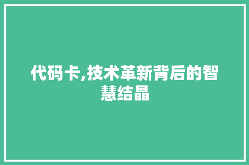 代码卡,技术革新背后的智慧结晶