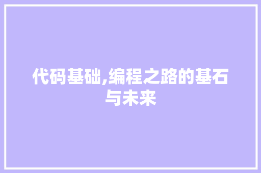 代码基础,编程之路的基石与未来