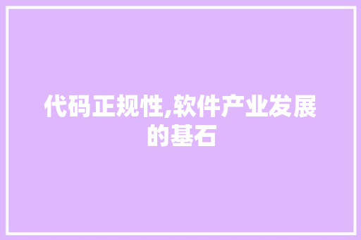 代码正规性,软件产业发展的基石