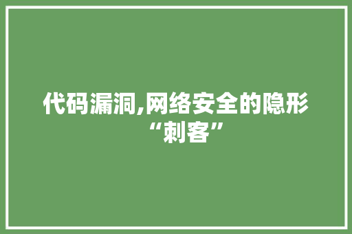 代码漏洞,网络安全的隐形“刺客”