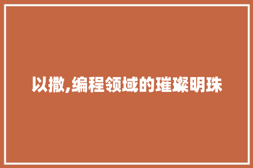 以撒,编程领域的璀璨明珠