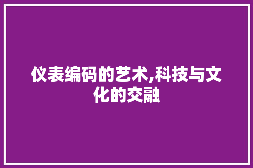 仪表编码的艺术,科技与文化的交融
