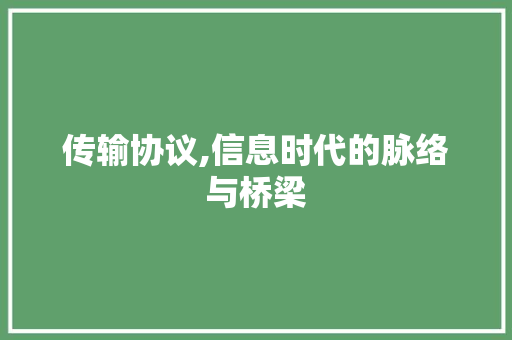 传输协议,信息时代的脉络与桥梁