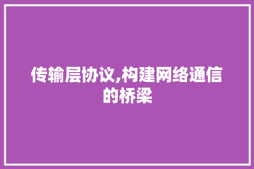 传输层协议,构建网络通信的桥梁