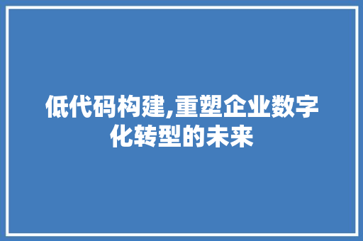 低代码构建,重塑企业数字化转型的未来