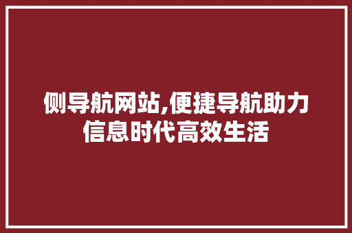 侧导航网站,便捷导航助力信息时代高效生活