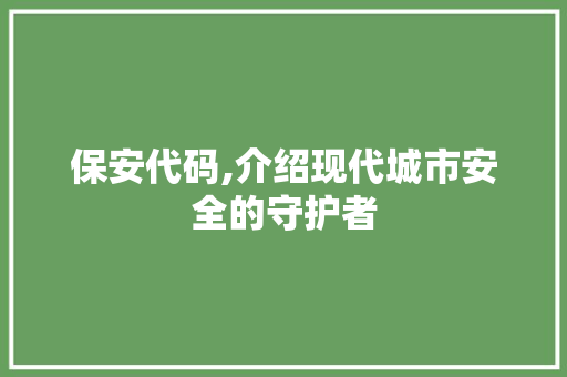 保安代码,介绍现代城市安全的守护者
