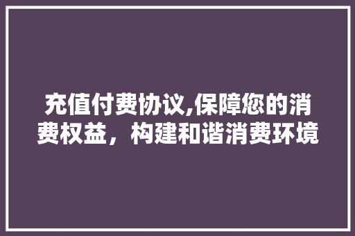 充值付费协议,保障您的消费权益，构建和谐消费环境