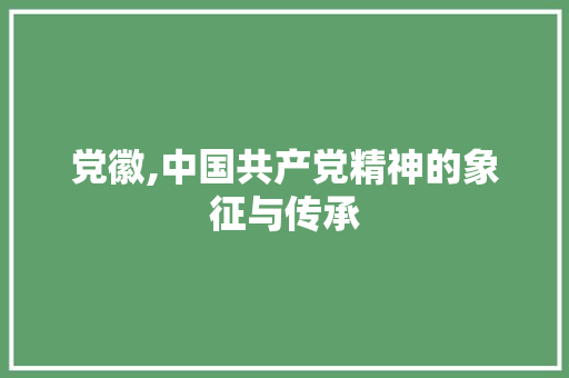 党徽,中国共产党精神的象征与传承