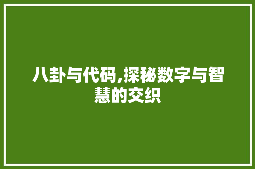八卦与代码,探秘数字与智慧的交织