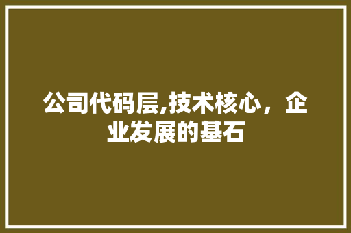 公司代码层,技术核心，企业发展的基石