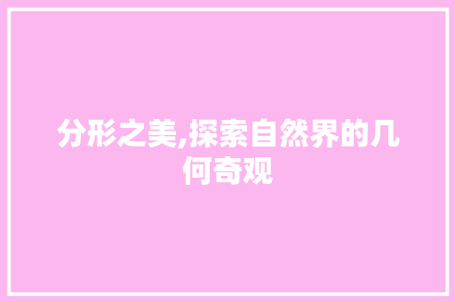 分形之美,探索自然界的几何奇观