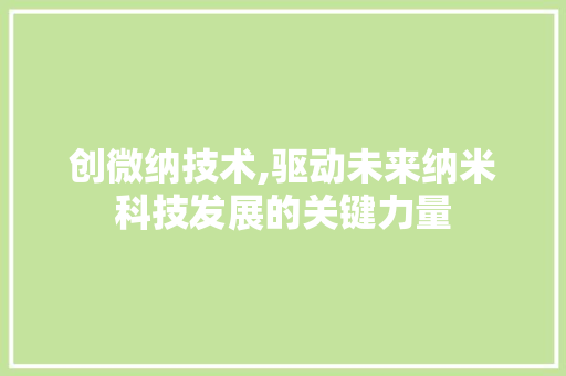 创微纳技术,驱动未来纳米科技发展的关键力量