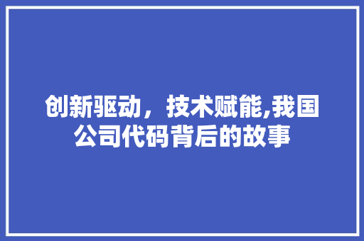 创新驱动，技术赋能,我国公司代码背后的故事 花朵知识